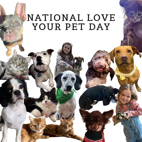 Happy National Pet Day Share The Last Pic You Took Of Your .